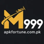 M999 Game