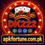 DK222 Game
